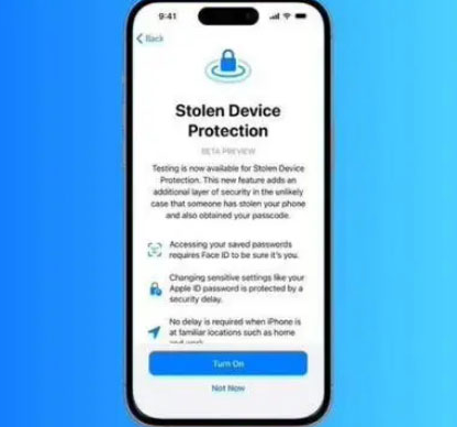 湟中苹果授权维修店分享被盗设备保护功能开启方法 