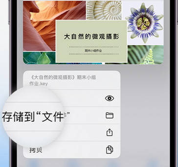 湟中apple维修中心分享iPhone文件应用中存储和找到下载文件