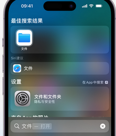 湟中apple维修中心分享iPhone文件应用中存储和找到下载文件 