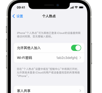 湟中apple服务站点分享iPhone上个人热点丢失了怎么办 