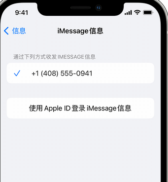 湟中apple维修iPhone上无法正常发送iMessage信息 