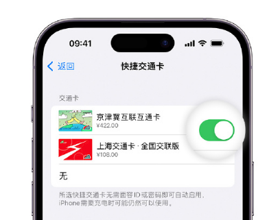 湟中apple维修点分享iPhone上更换Apple Pay快捷交通卡手绘卡面 