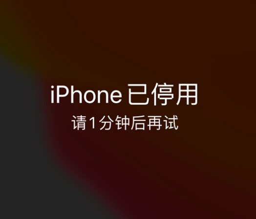 湟中苹果手机维修分享:iPhone 显示“不可用”或“已停用”怎么办？还能保留数据吗？ 