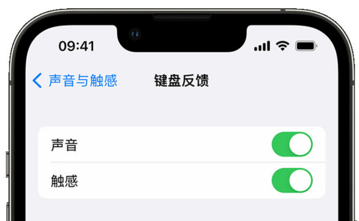 湟中苹果手机维修分享iPhone 14触感键盘使用方法 