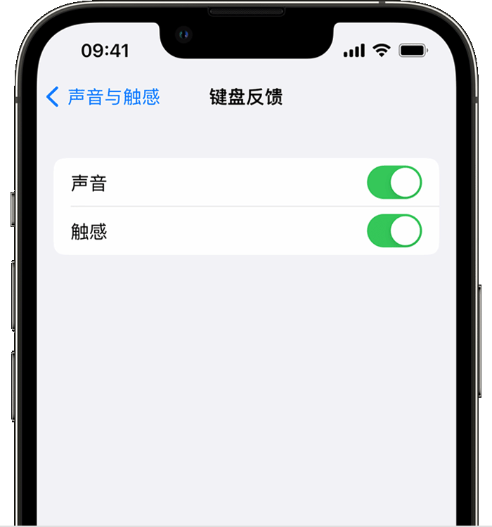 湟中苹果14维修店分享如何在 iPhone 14 机型中使用触感键盘 