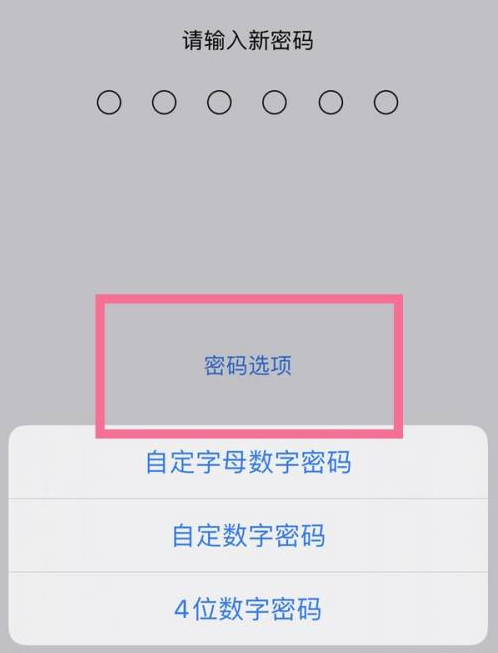 湟中苹果14维修分享iPhone 14plus设置密码的方法 