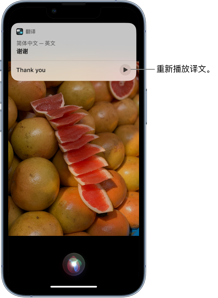 湟中苹果14维修分享 iPhone 14 机型中使用 Siri：了解 Siri 能帮你做什么 