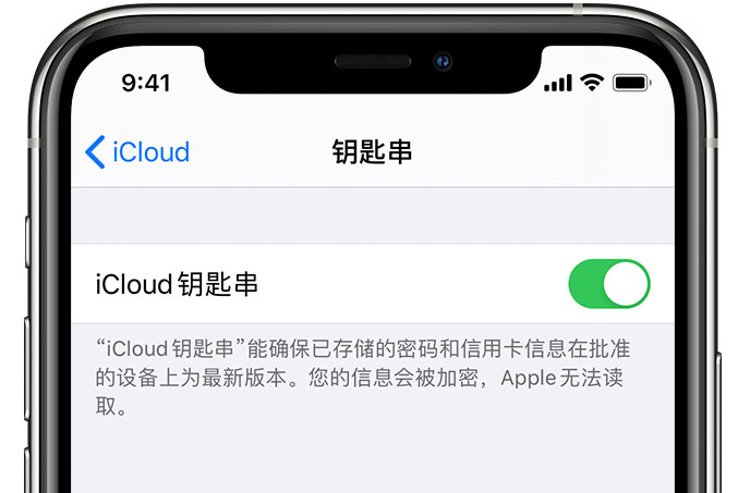 湟中苹果手机维修分享在 iPhone 上开启 iCloud 钥匙串之后会储存哪些信息 