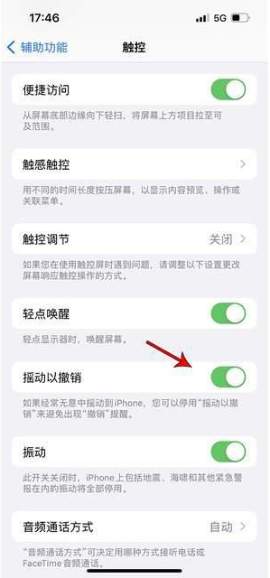 湟中苹果手机维修分享iPhone手机如何设置摇一摇删除文字 