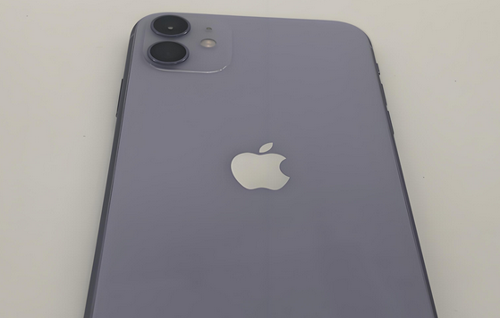 湟中苹果11系统维修分享iPhone11手机系统崩溃无法开机如何解决 